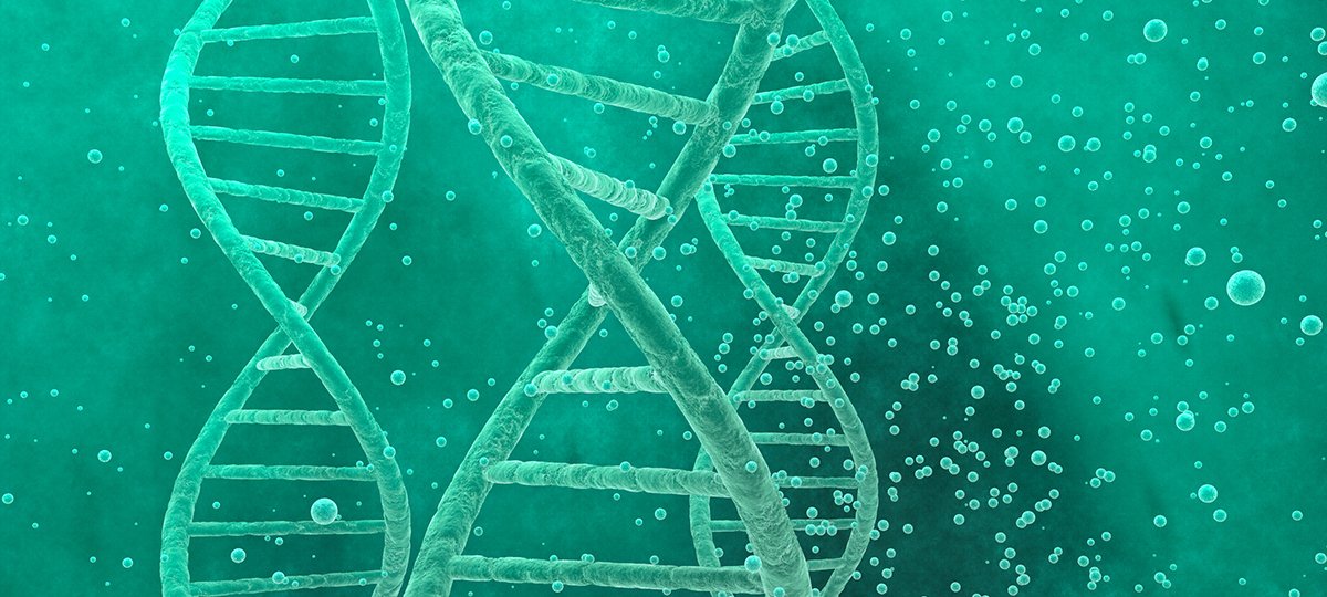 Bioinformatics for High School Students: Basics to Advanced (10-Day Live Program)