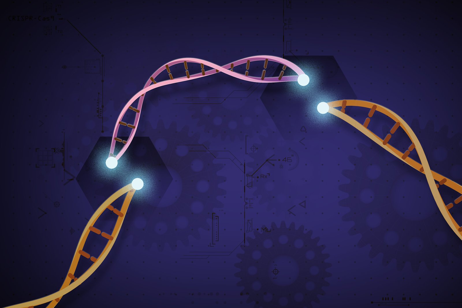 CRISPR & Gene Therapy for High School Students: Genome Editing Design Workflow