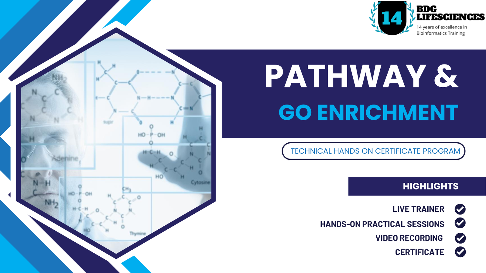 PATHWAY & GO ENRICHMENT