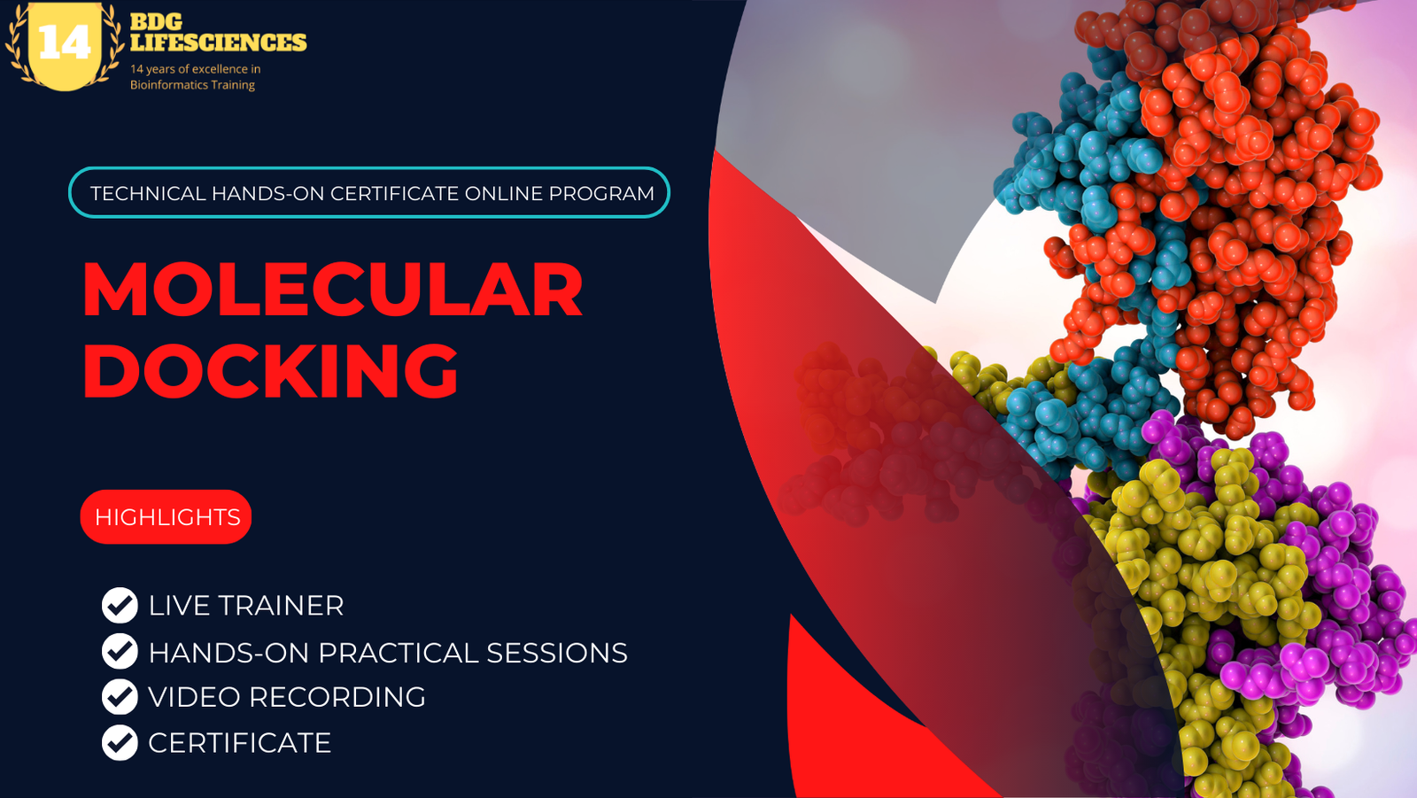 Molecular Docking Training Workshop | Learn Expert Techniques