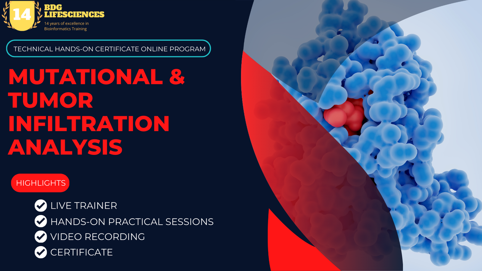 MUTATIONAL & TUMOR INFILTRATION ANALYSIS